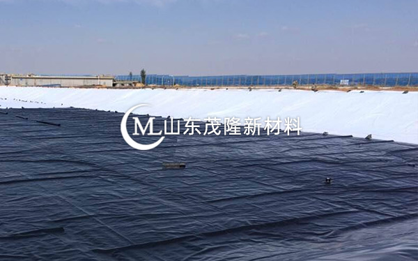 《衡水主城區(qū)生態(tài)修復工程》土工布、復合土工布施工