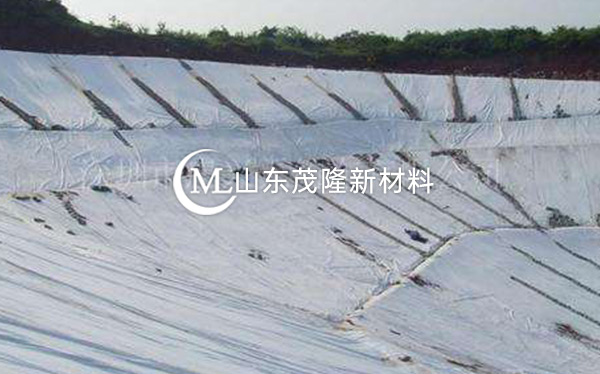 《東平湖生態(tài)防護(hù)林建設(shè)項目》復(fù)合土工膜施工