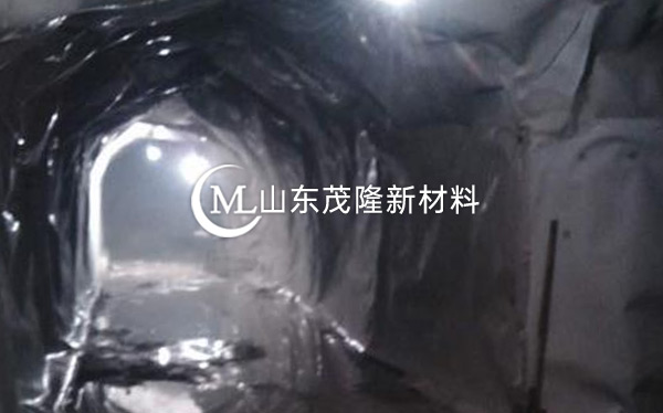 《洛陽二號線1標(biāo)1工區(qū)》土工布、EVA防水板施工