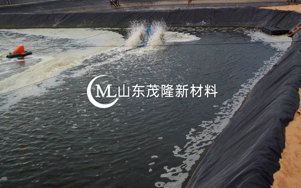 人工湖土工膜產(chǎn)品演示圖1