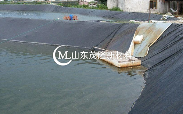 魚塘防滲膜 第4張