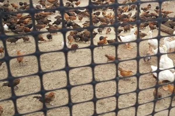 土工格柵都可以應(yīng)用在什么地方？