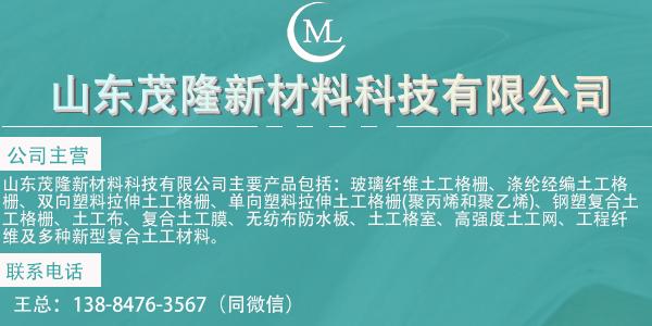 鋼塑土工格柵可以使道路路基材料更加堅(jiān)固  第1張