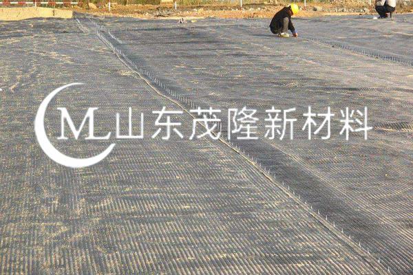 《畜牧養(yǎng)殖項目》土工格柵施工