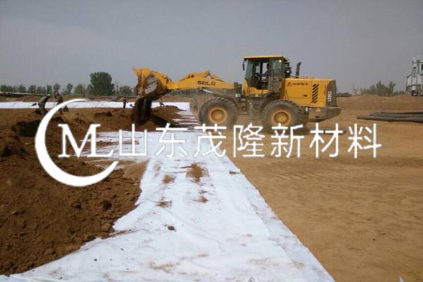 《唐河航運項目》土工布施工