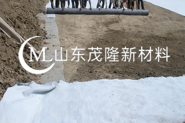 《北海洪湖水庫工程項(xiàng)目》防水毯施工
